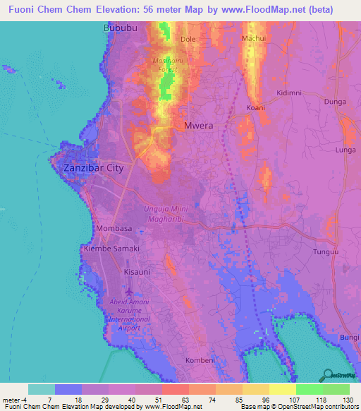 Fuoni Chem Chem,Tanzania Elevation Map