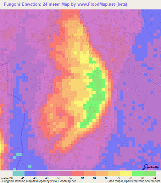 Fungoni,Tanzania Elevation Map