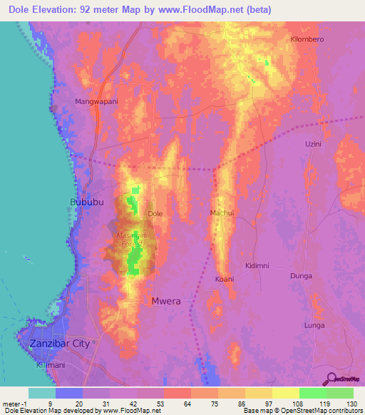 Dole,Tanzania Elevation Map