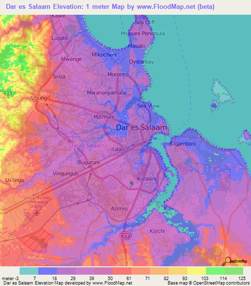 Dar es Salaam,Tanzania Elevation Map