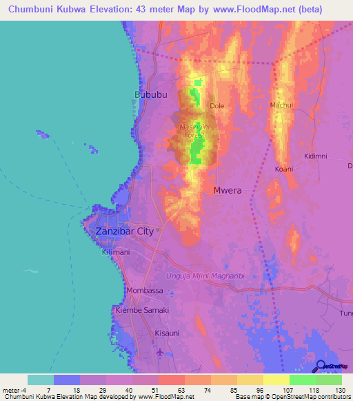 Chumbuni Kubwa,Tanzania Elevation Map