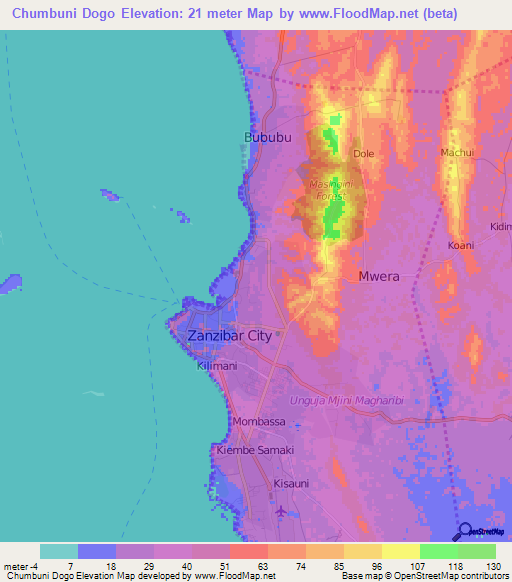 Chumbuni Dogo,Tanzania Elevation Map