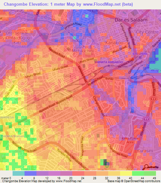 Changombe,Tanzania Elevation Map