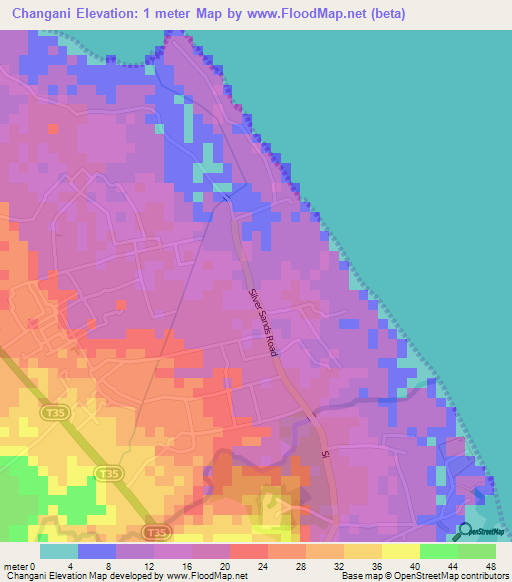 Changani,Tanzania Elevation Map