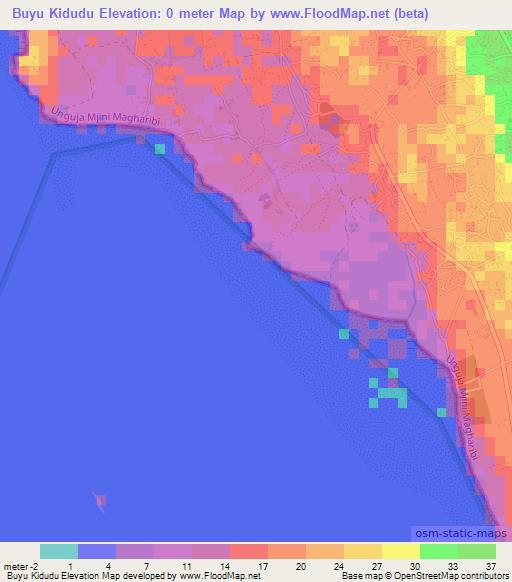 Buyu Kidudu,Tanzania Elevation Map