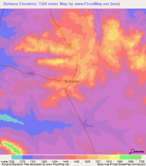 Butiama,Tanzania Elevation Map