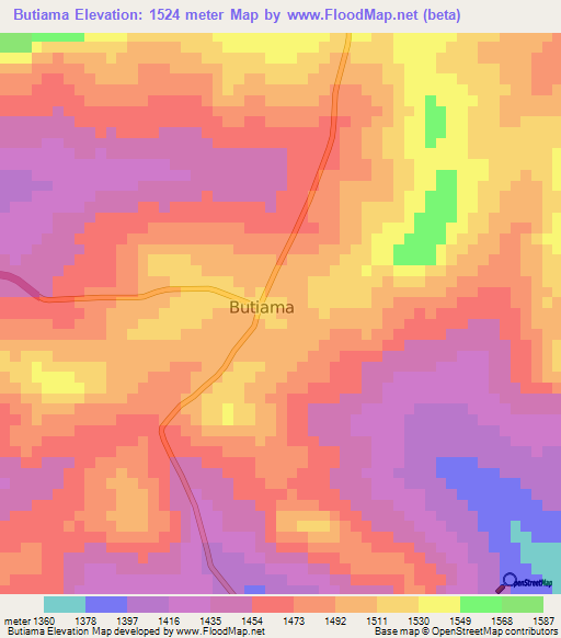 Butiama,Tanzania Elevation Map