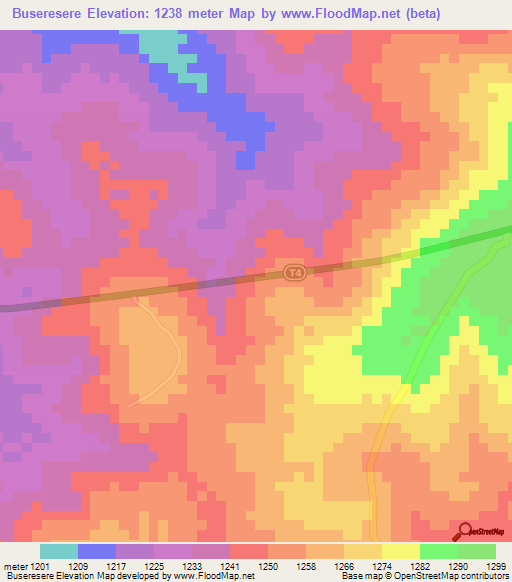 Buseresere,Tanzania Elevation Map