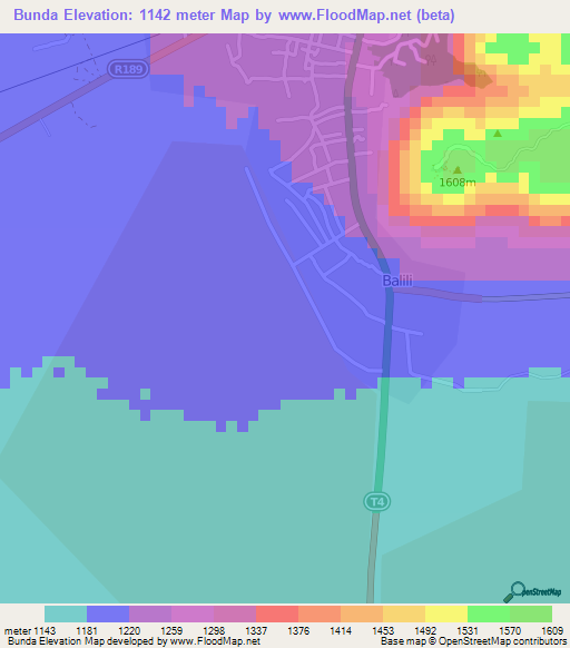 Bunda,Tanzania Elevation Map