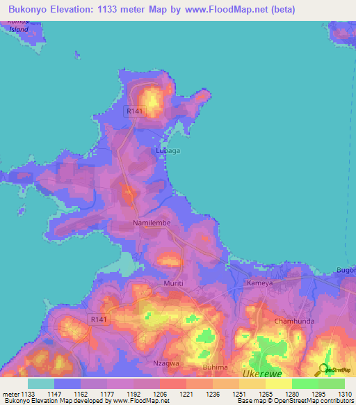 Bukonyo,Tanzania Elevation Map