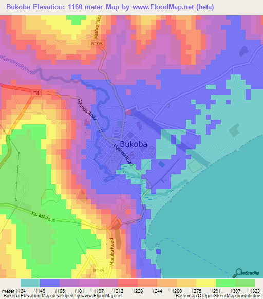 Bukoba,Tanzania Elevation Map