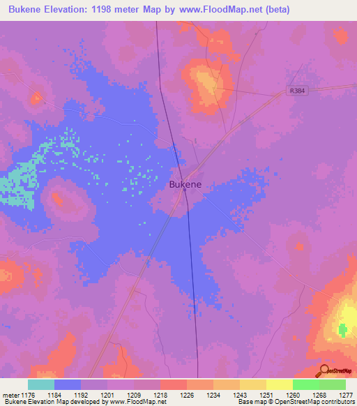 Bukene,Tanzania Elevation Map