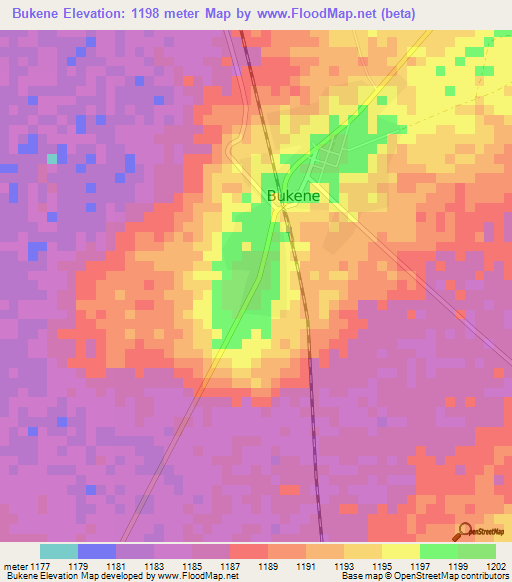 Bukene,Tanzania Elevation Map