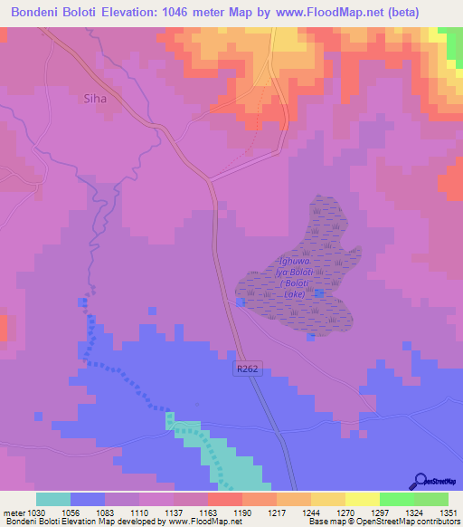 Bondeni Boloti,Tanzania Elevation Map