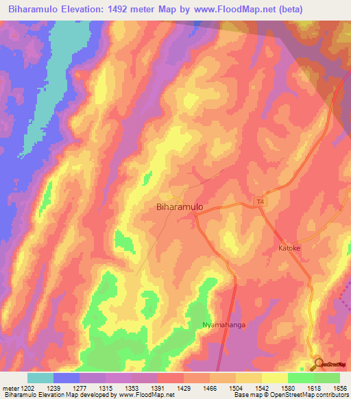 Biharamulo,Tanzania Elevation Map