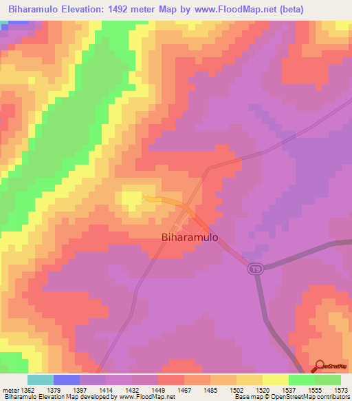 Biharamulo,Tanzania Elevation Map