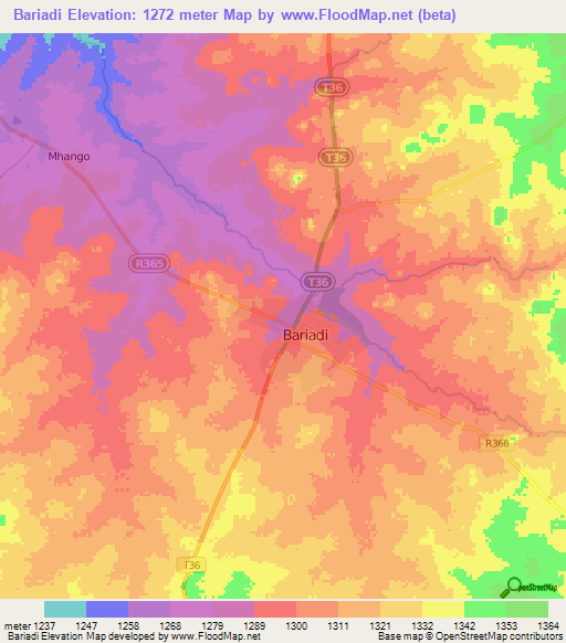 Bariadi,Tanzania Elevation Map