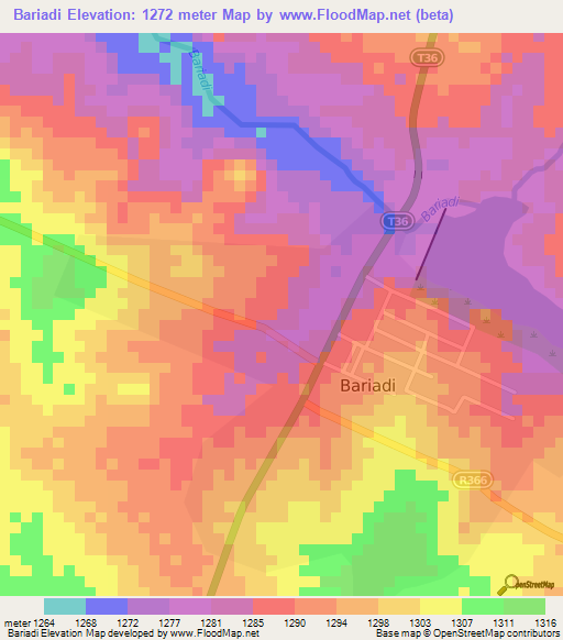 Bariadi,Tanzania Elevation Map