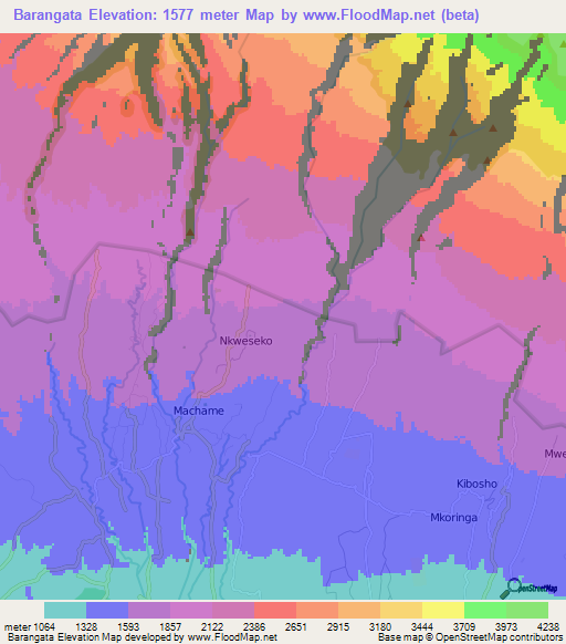 Barangata,Tanzania Elevation Map