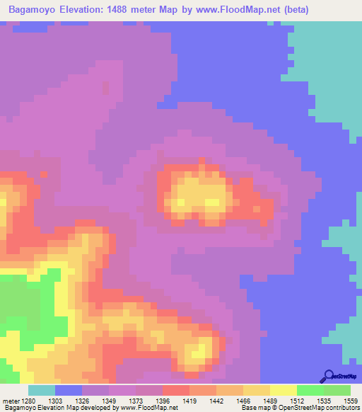 Bagamoyo,Tanzania Elevation Map