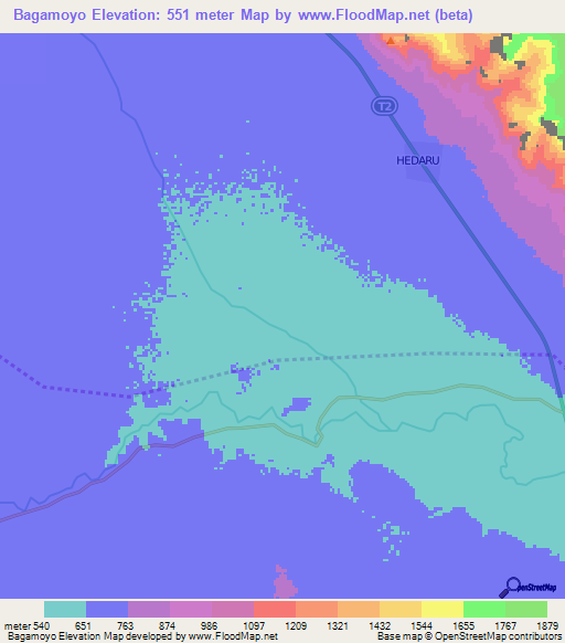 Bagamoyo,Tanzania Elevation Map