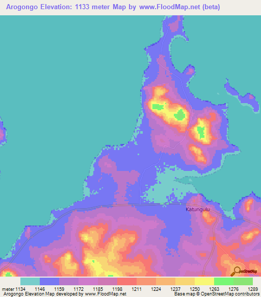 Arogongo,Tanzania Elevation Map