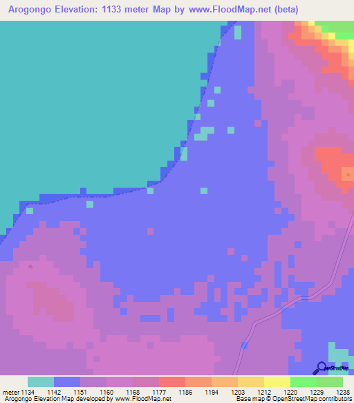 Arogongo,Tanzania Elevation Map