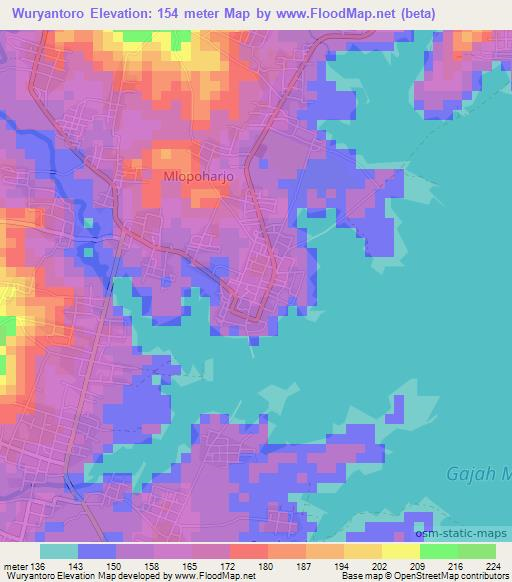 Wuryantoro,Indonesia Elevation Map