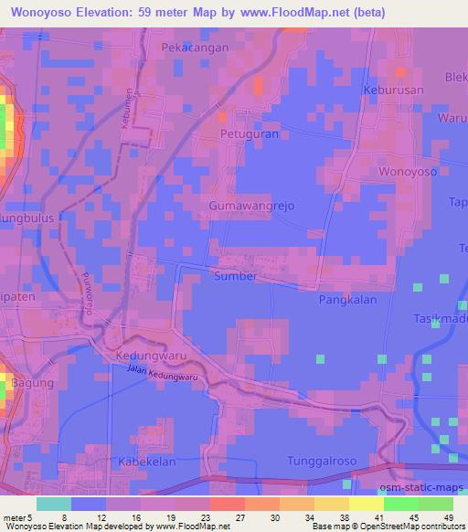 Wonoyoso,Indonesia Elevation Map