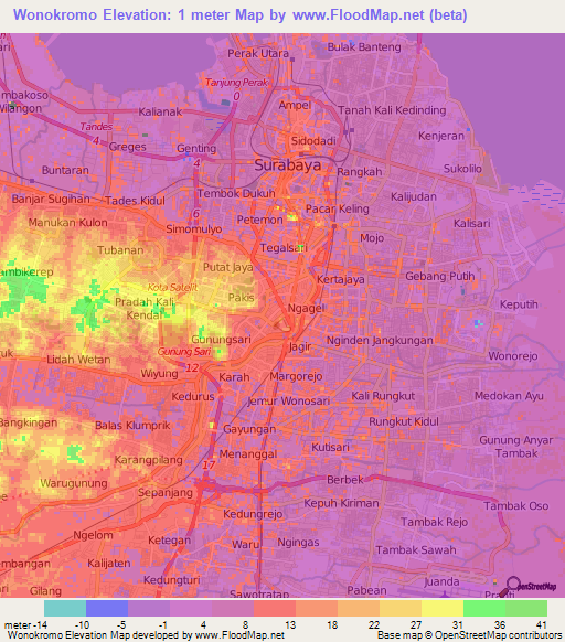 Wonokromo,Indonesia Elevation Map