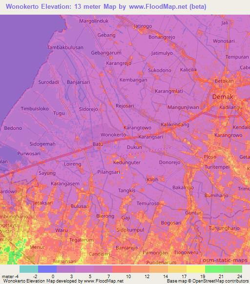 Wonokerto,Indonesia Elevation Map