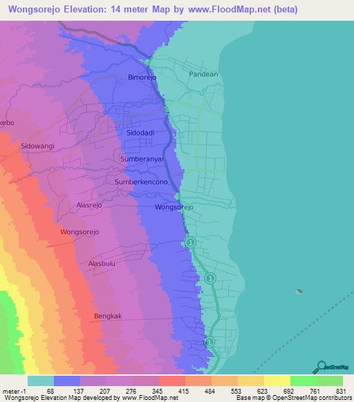 Wongsorejo,Indonesia Elevation Map