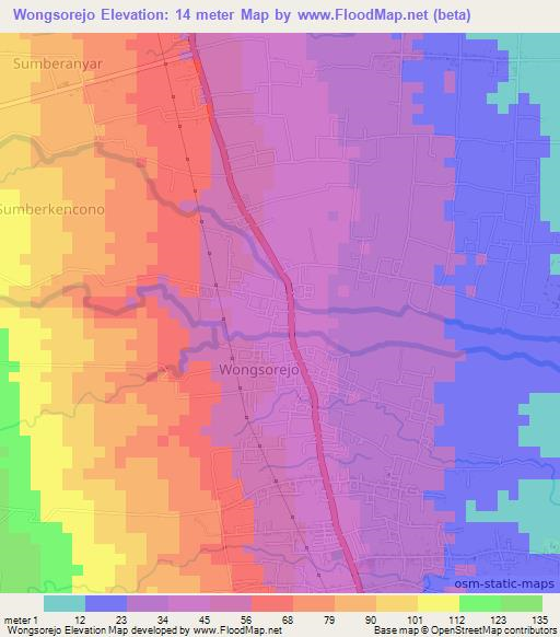 Wongsorejo,Indonesia Elevation Map