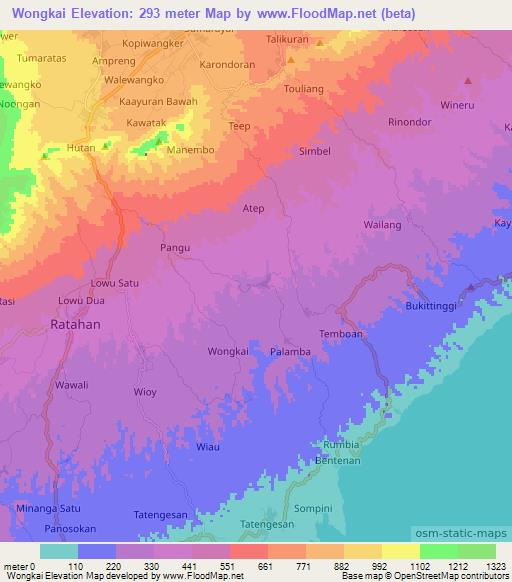 Wongkai,Indonesia Elevation Map