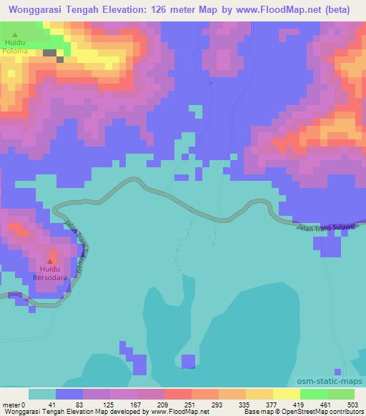 Wonggarasi Tengah,Indonesia Elevation Map