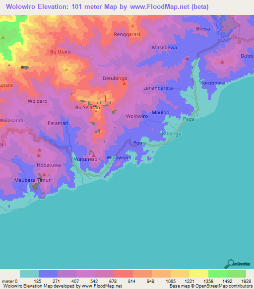 Wolowiro,Indonesia Elevation Map