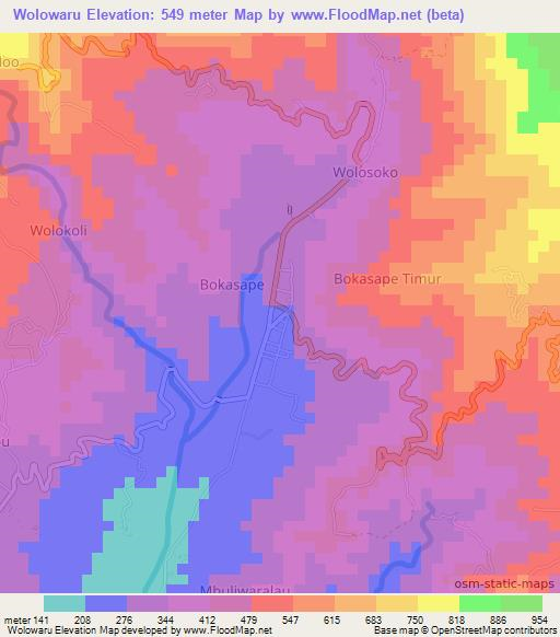 Wolowaru,Indonesia Elevation Map