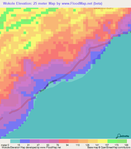 Wokole,Indonesia Elevation Map