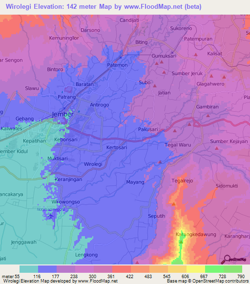 Wirolegi,Indonesia Elevation Map