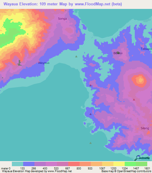 Wayaua,Indonesia Elevation Map