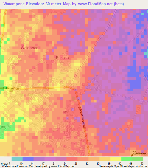 Watampone,Indonesia Elevation Map