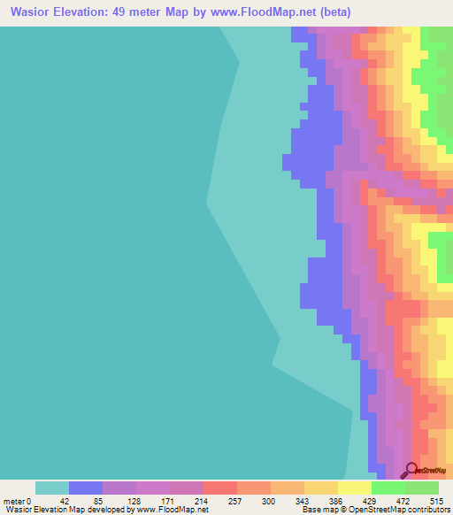 Wasior,Indonesia Elevation Map