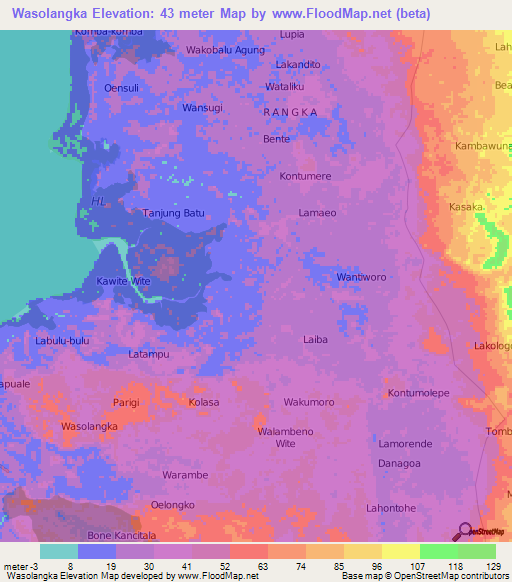 Wasolangka,Indonesia Elevation Map