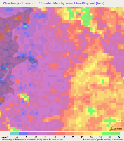 Wasolangka,Indonesia Elevation Map