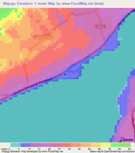 Wajogu,Indonesia Elevation Map