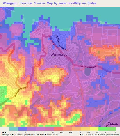 Waingapu,Indonesia Elevation Map