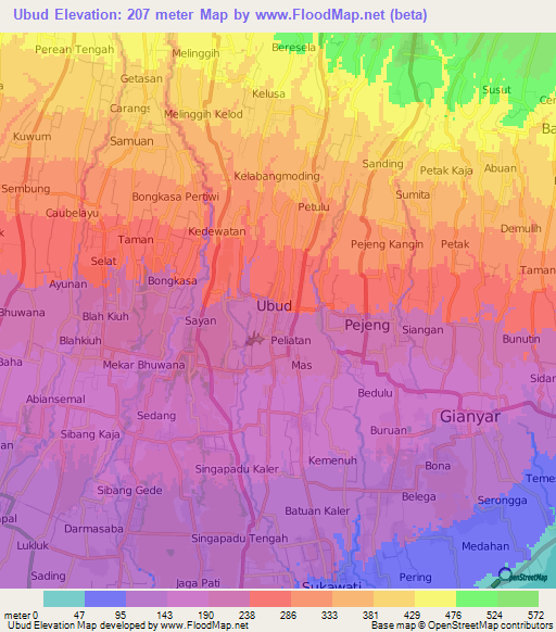 Ubud,Indonesia Elevation Map
