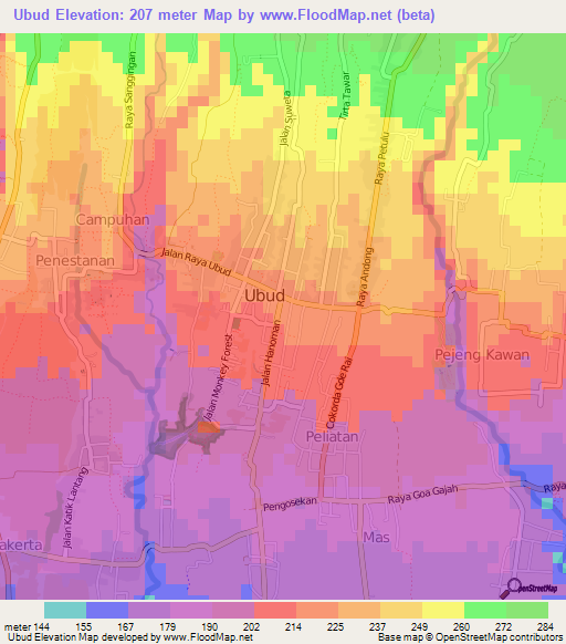 Ubud,Indonesia Elevation Map