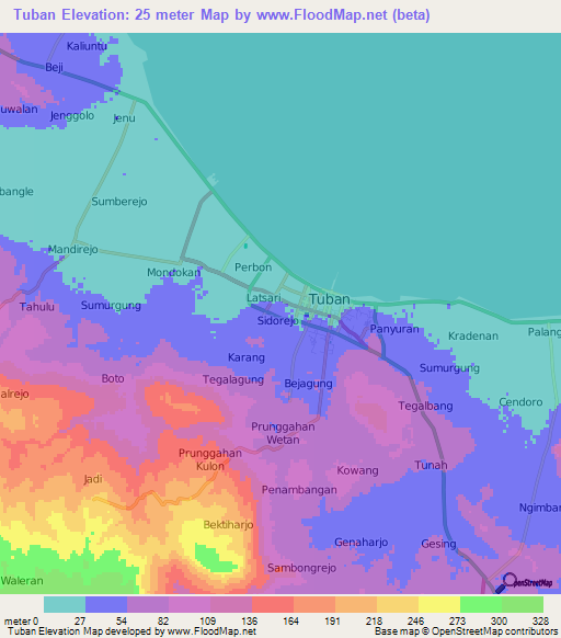 Tuban,Indonesia Elevation Map