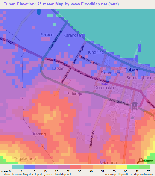 Tuban,Indonesia Elevation Map